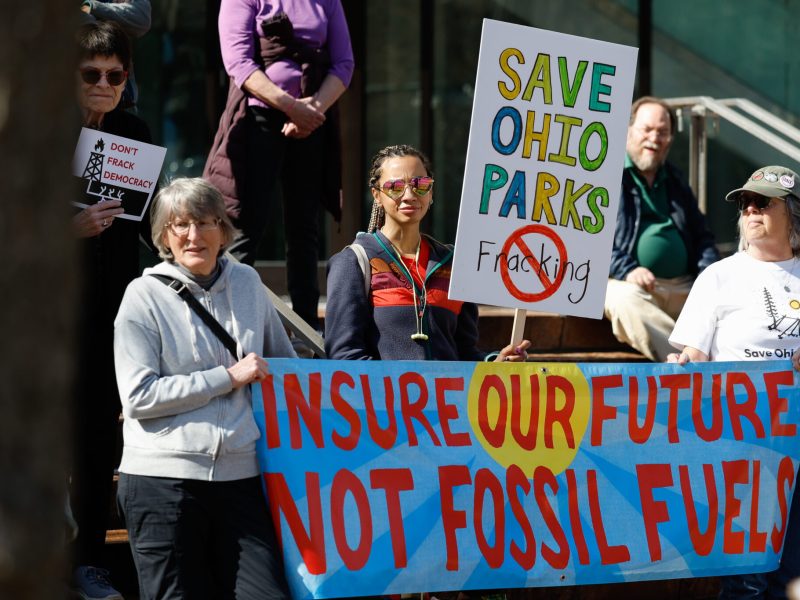 A group of activists at the statehouse.
